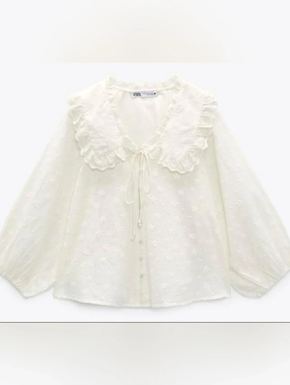 Zara Peter Pan Collar Embroidered Blouse